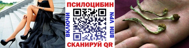 Псилоцибиновые грибы MAGIC MUSHROOMS  darknet как зайти  Пятигорск  купить наркотики цена 